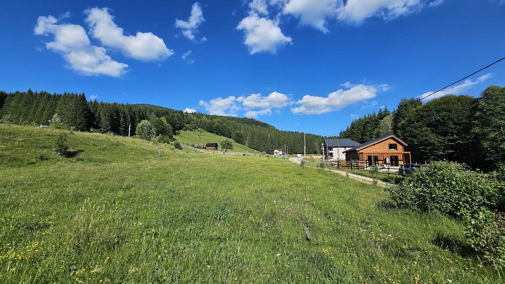 Teren 2.290 mp intravilan Valea Doftanei. Deschidere strada 51+40 m