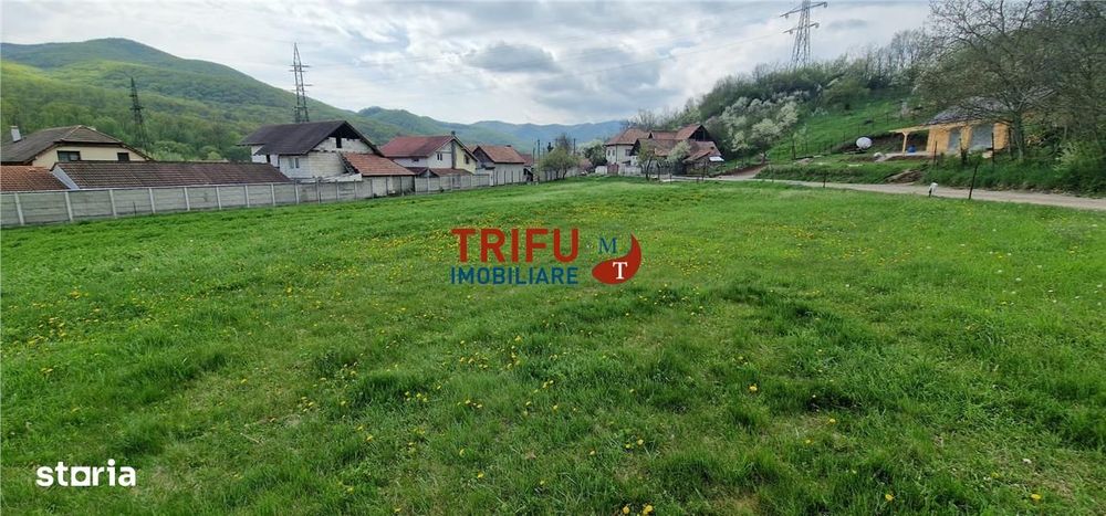 Teren de vis la liziera pădurii – liniște, natură și aer curat!