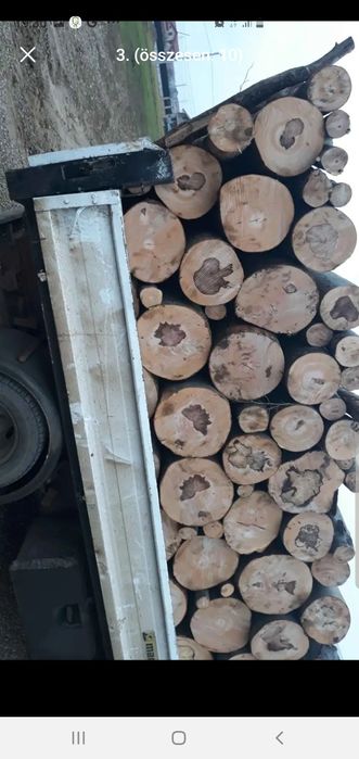 Lemne de foc esenta tare