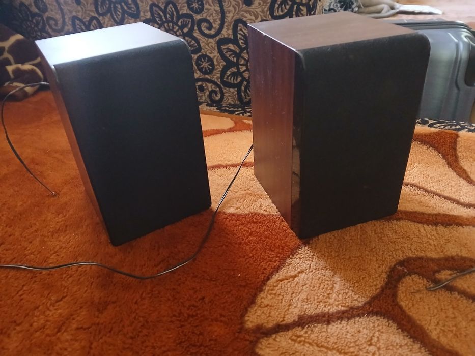 Speaker bluesky.