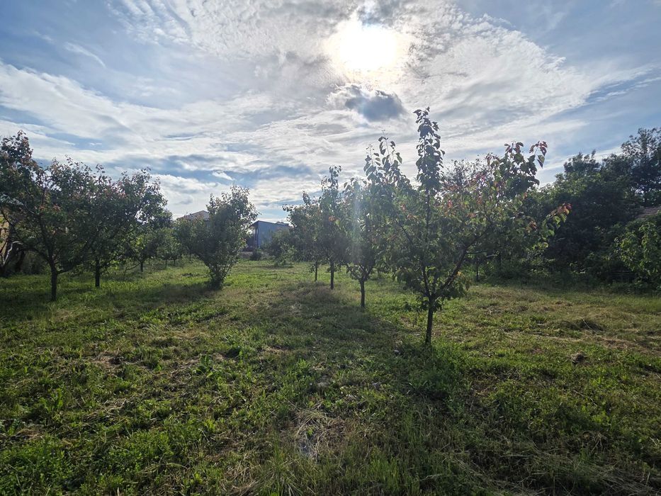 Casă de vânzare Țigănești/Teleorman
