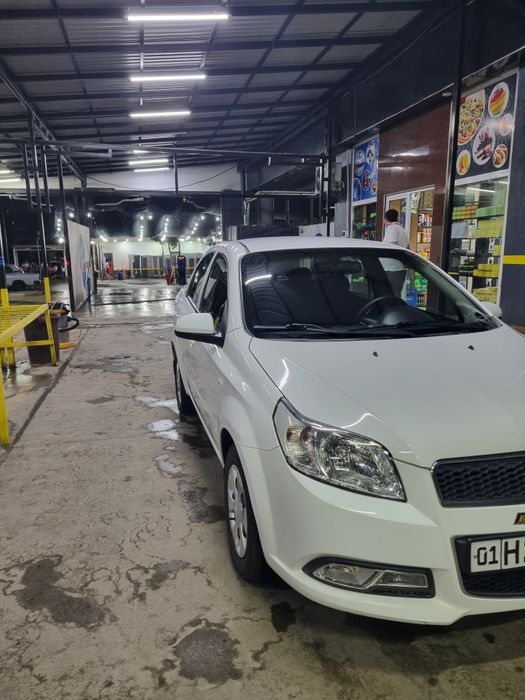 2019 краска тоза 6800 $