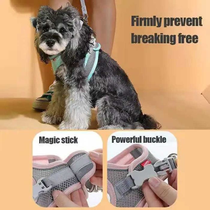 шлейки для питомцев