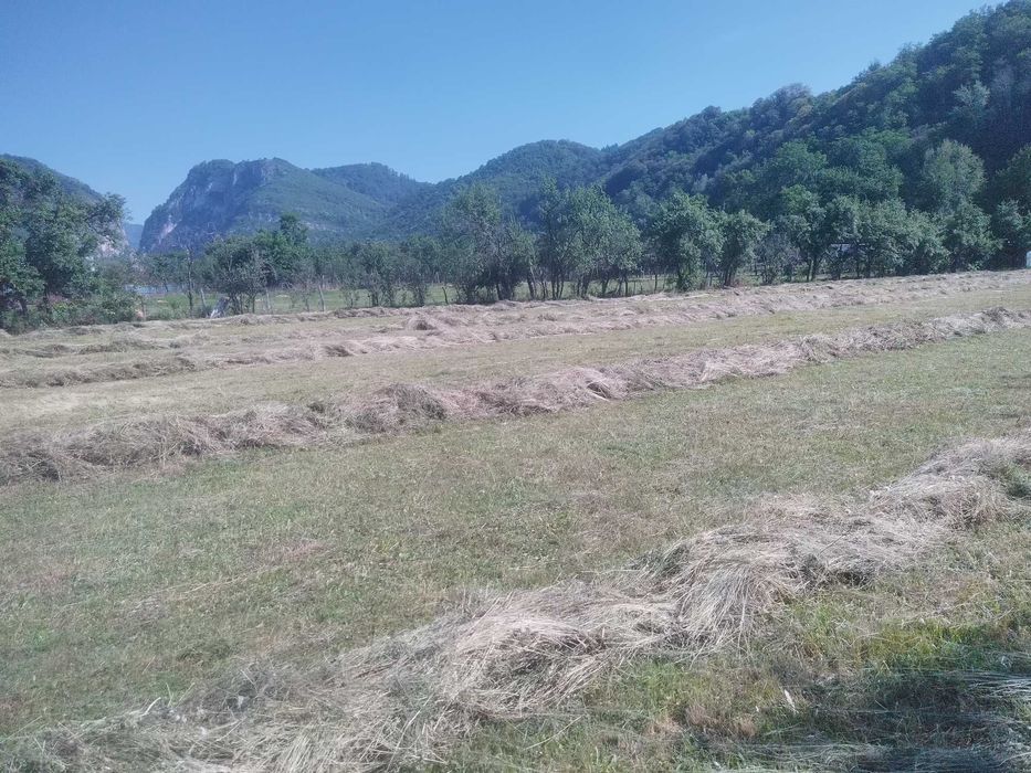 Vind 6800m² teren intravilan Polovragi /Gorj