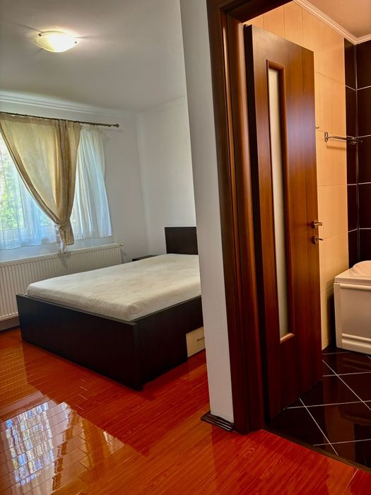 Curatenie profesionala