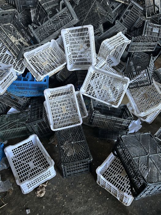 Продаем б/у ящики пластиковые