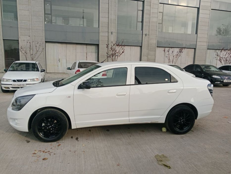 Cobalt mid night toza