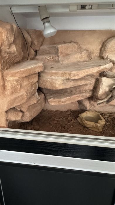 Терариум 480литра + шкаф