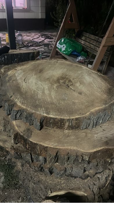 слебы карагача 100 летний для столов