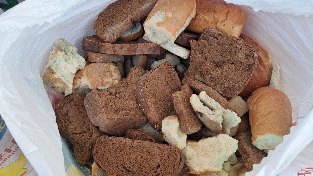 Котган нон копланган курук 1кг=3500сум