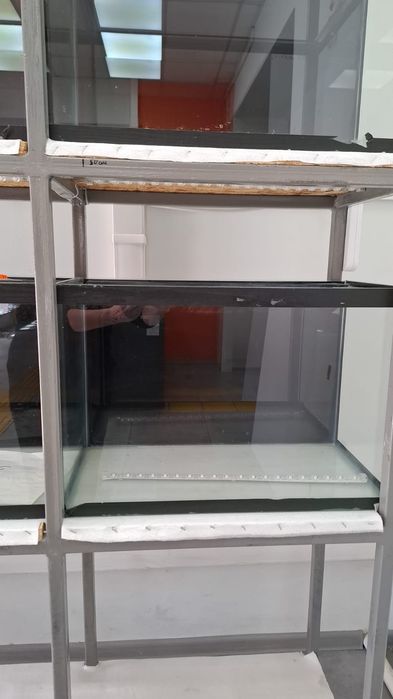 Аквриумы 60 литровые.