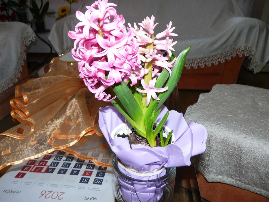 Panasonic Lumix FZ - 18