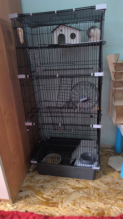 Большая клетка с крысой