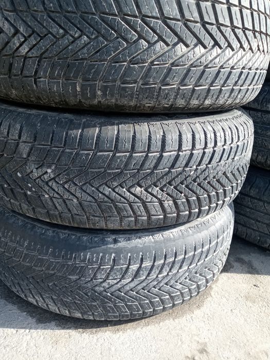 Diska Balon Sotiladi Cobalt R14