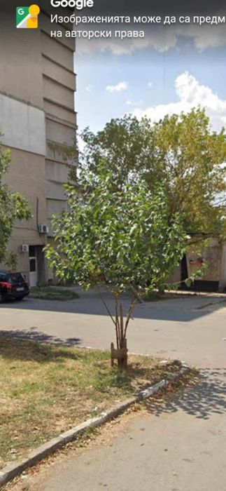 Продава се Тристаен апартамент в Раднево - 83 кв.м за 302 €/кв.м - Снимка #2