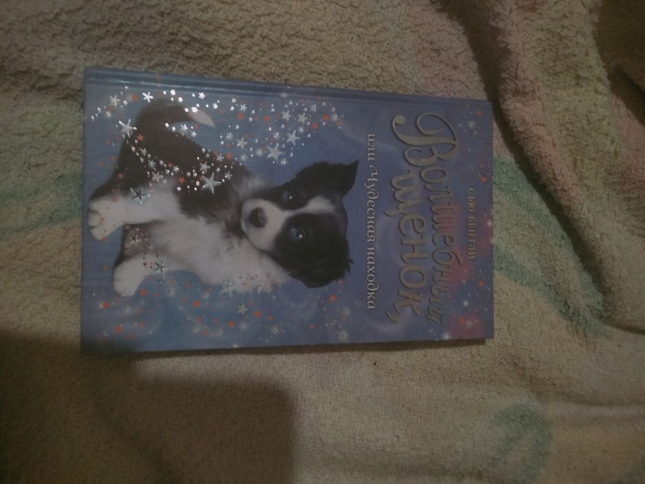 книга «Волшебный щенок, или Чудесная находка.»