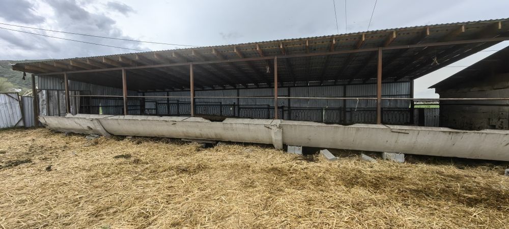 Навоз конский самовывоз