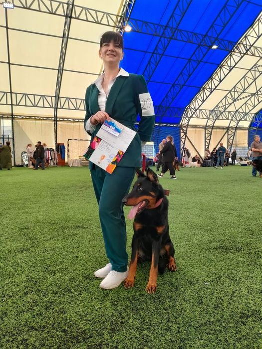 Кинолог, зоопсихолог