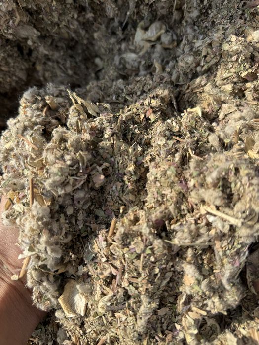 Мақта қауашағы сатылады