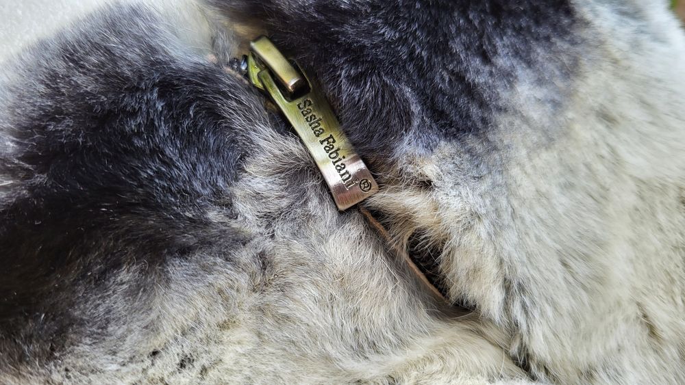 Сапоги демисезонные