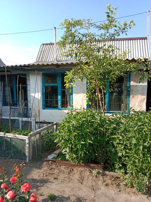 Продам дачу, на бабровке.