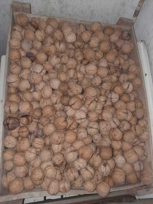 Продам домашние орехи