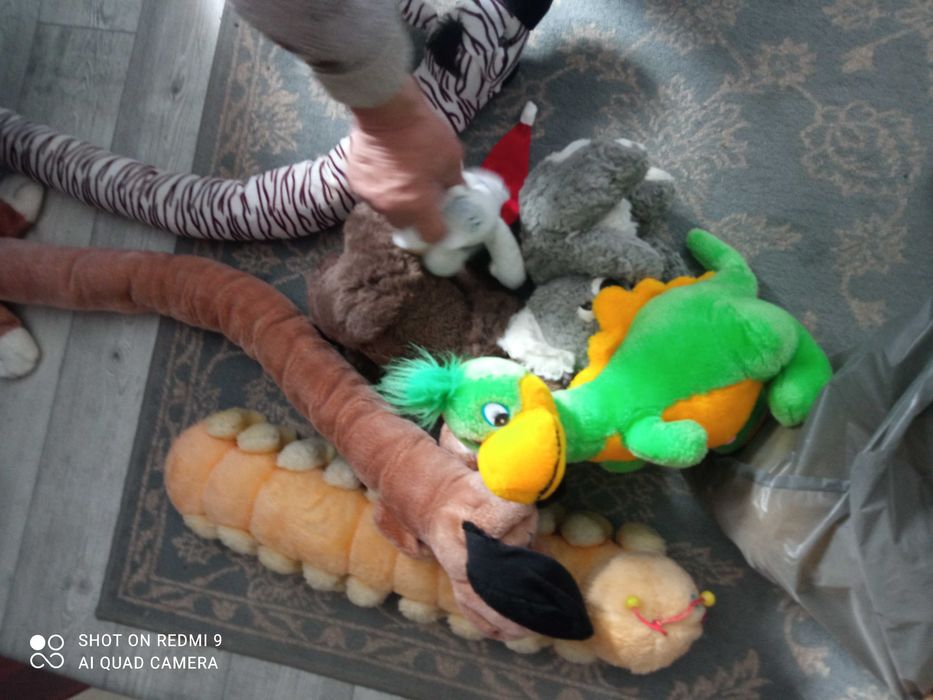 Plusuri stare bună! Schimb cu Elefant ,girafa,zebra,urs