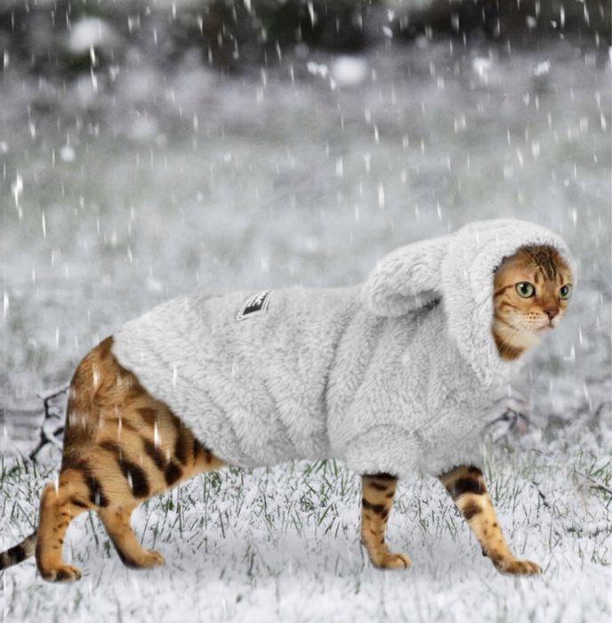 Одежда для собак и кошек!