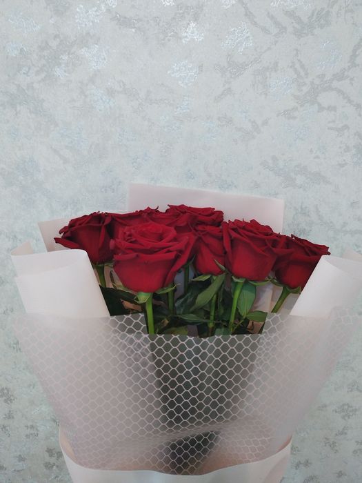 Галанский роза 1м