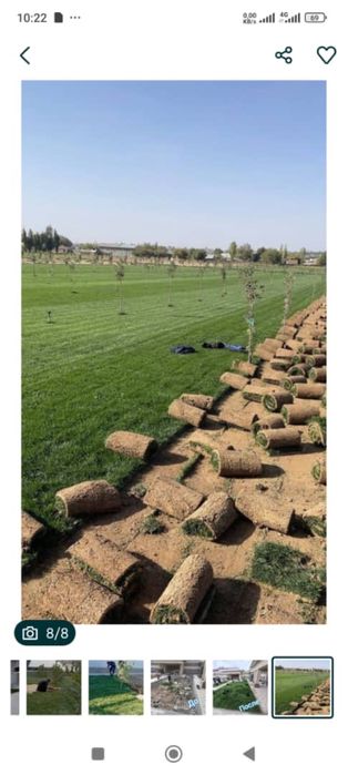 Газон екиш Арча кесиш дорлаш