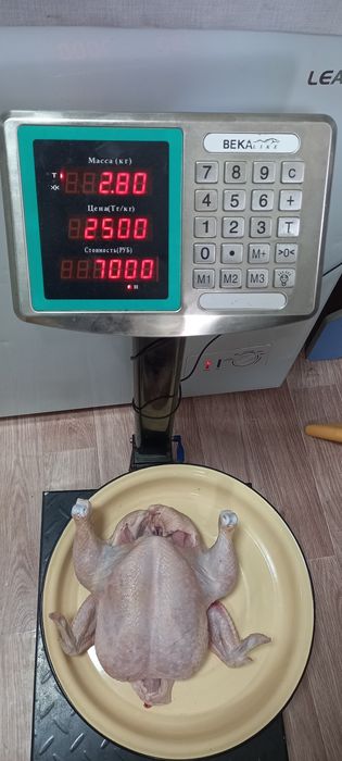 Мясо бройлера домашнее