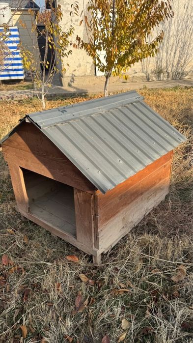 Будка, иттің уйі, город Шымкент