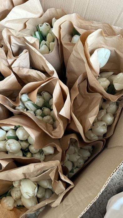 Тюльпаны бәйшешек