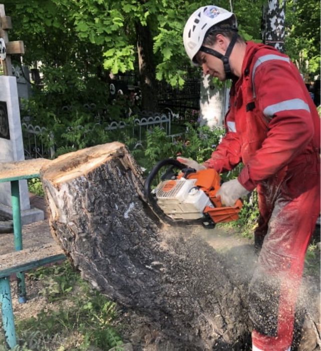 Удаление  аварийных деревьев