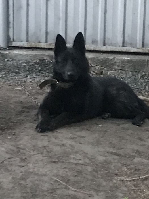 Кабель. Вязка. Ищем девочку для вязки.