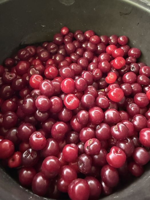 Продам дачу за Кривым озером