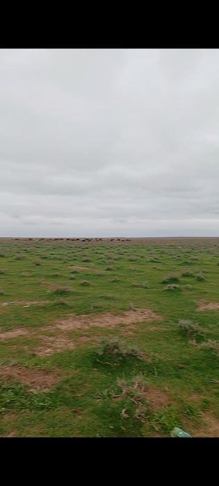 қора сатылады 280млн