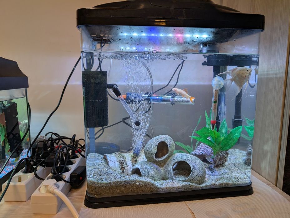 Vând 2 acvarii complet utilate și functionale