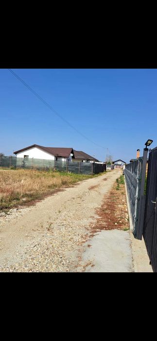 Teren vanzare Adunatii Copaceni