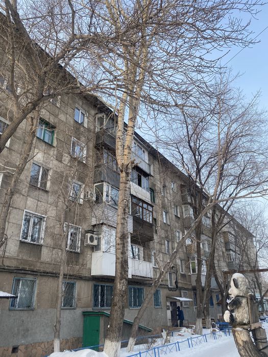 Спил деревьев. Подрезка веток