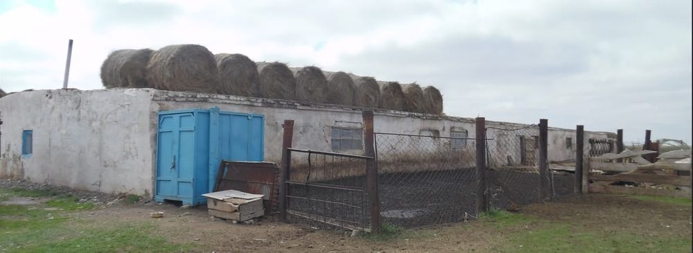 Сдам в аренду животноводческое помещение, общая площадь 1000 кв.м.