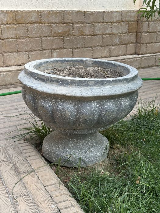 Assalomu alaykum gul tovak sotiladi