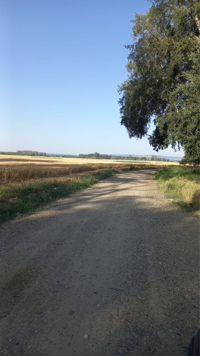 Teren de vanzare in Ion Creanga, Neamt, plata in transe