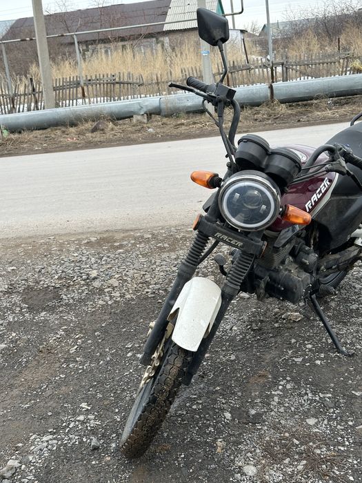 Пролам реисен тигр