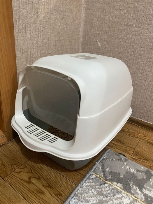 Красивый котик (мама бенгал) в добрые руки