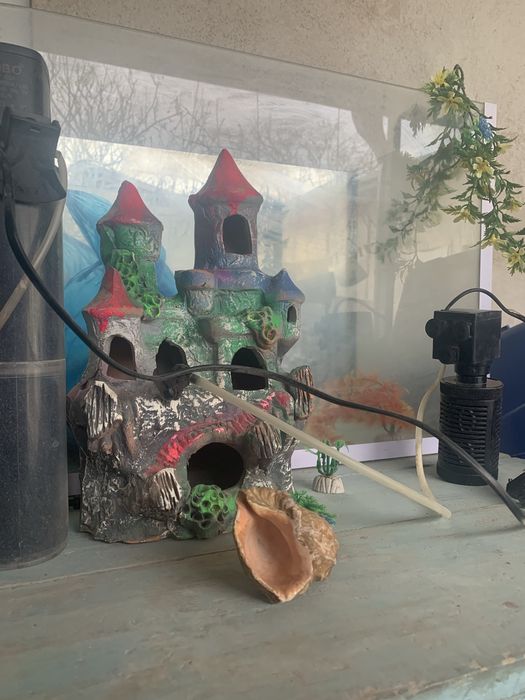 akuarium sotiladi hamma narsasi butun