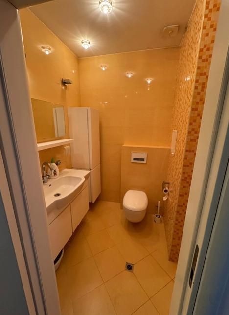 Дава се под наем Тристаен апартамент в София, Студентски град - 160 кв.м за 990 € - Снимка #8