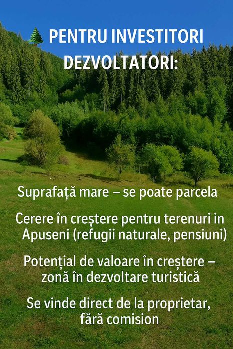 Teren intravilan + pădure  Scărișoara, jud. Alba – 7Euro/mp