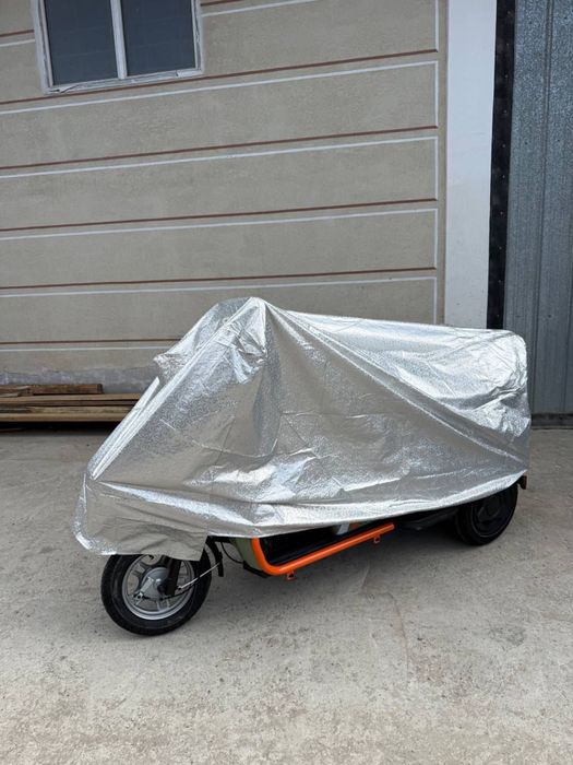 Электротрицикл муравейник