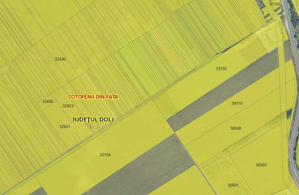 Teren agricol 6000mp Beharca (Cotofenii din Fata) - proprietar